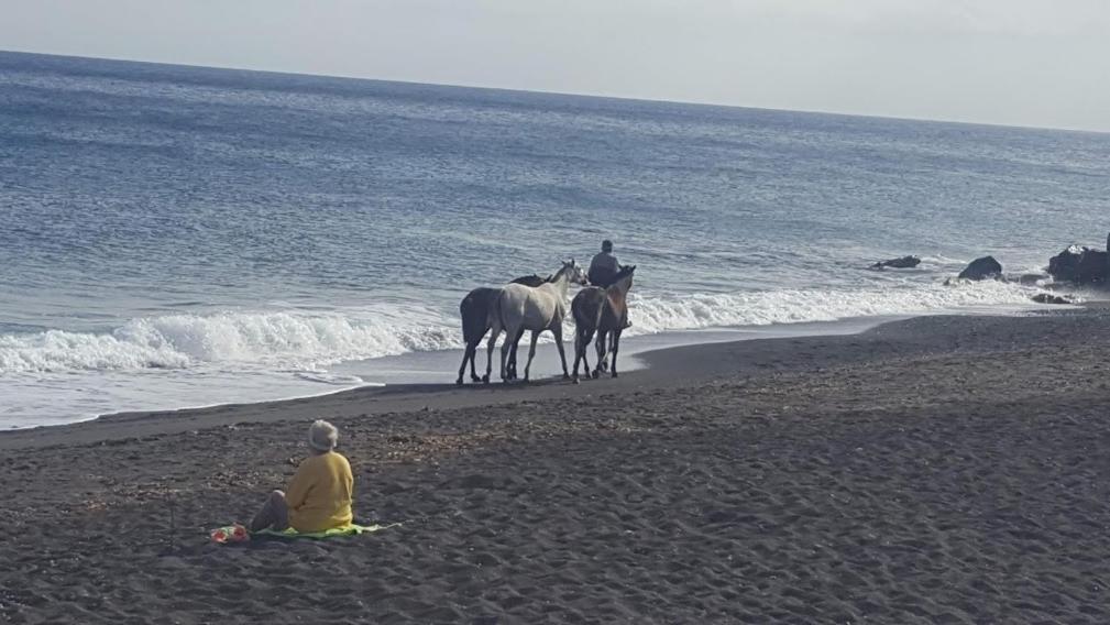 Santorini Pleasure Studios Fira  Zewnętrze zdjęcie